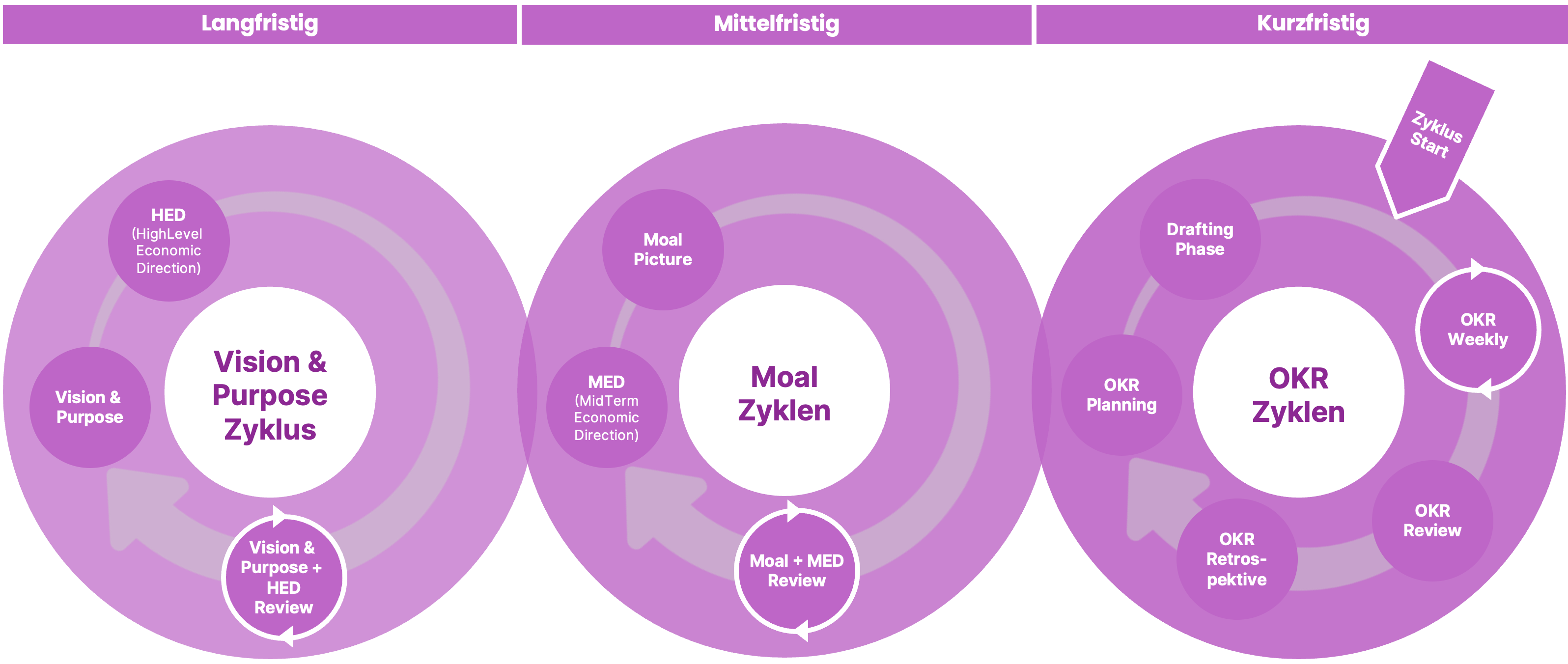 Das Drei-Zyklen-Modell: Vision & Purpose, Moal-Zyklen und OKR-Zyklen