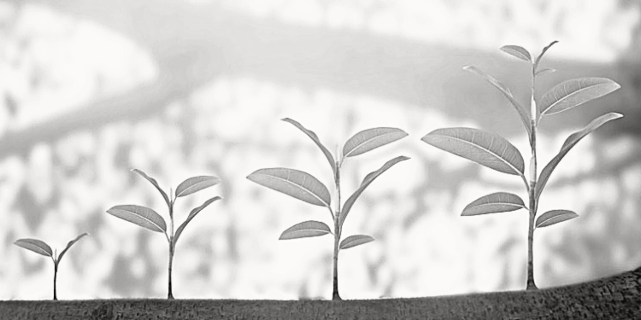 Der Agile Reifegrad (AML)