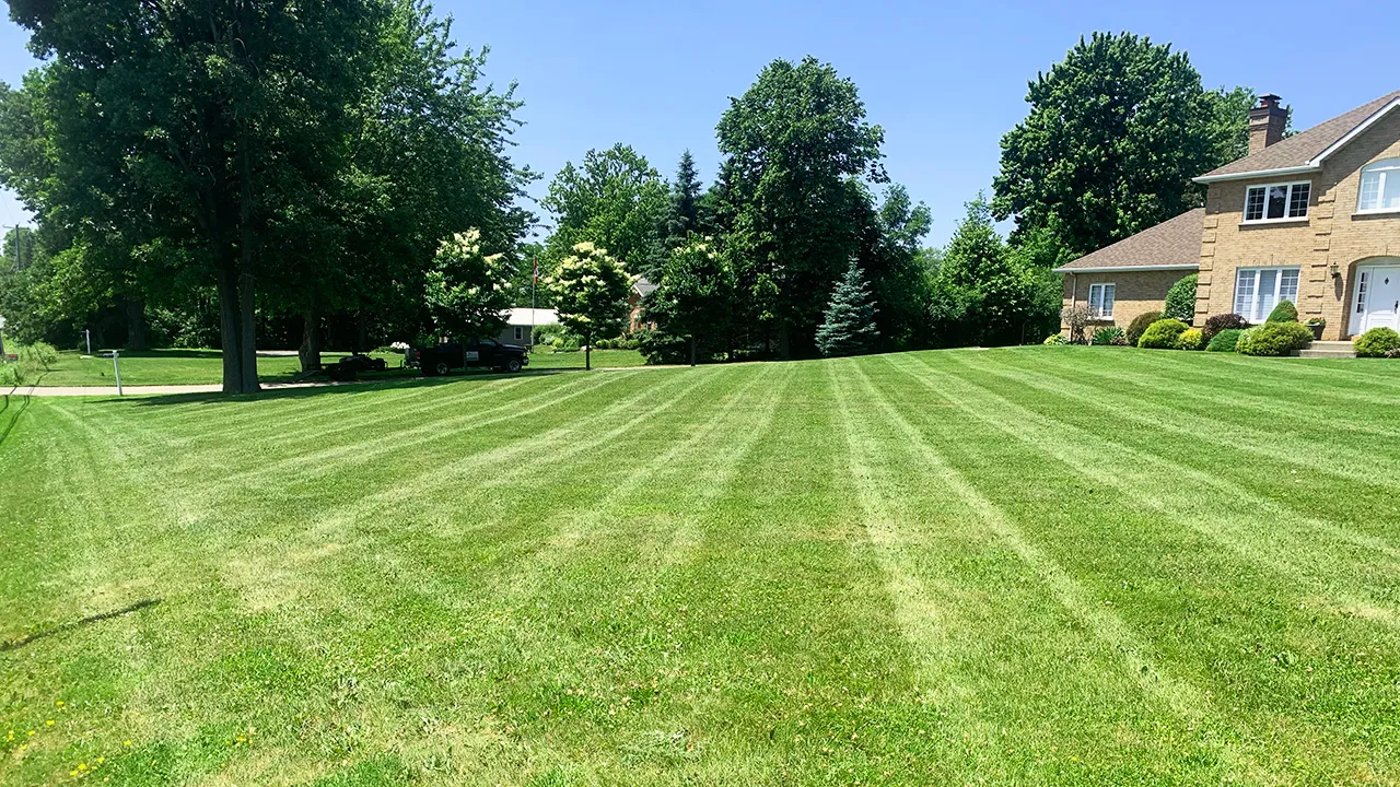 Lawn care company with zero emissions Cornwall