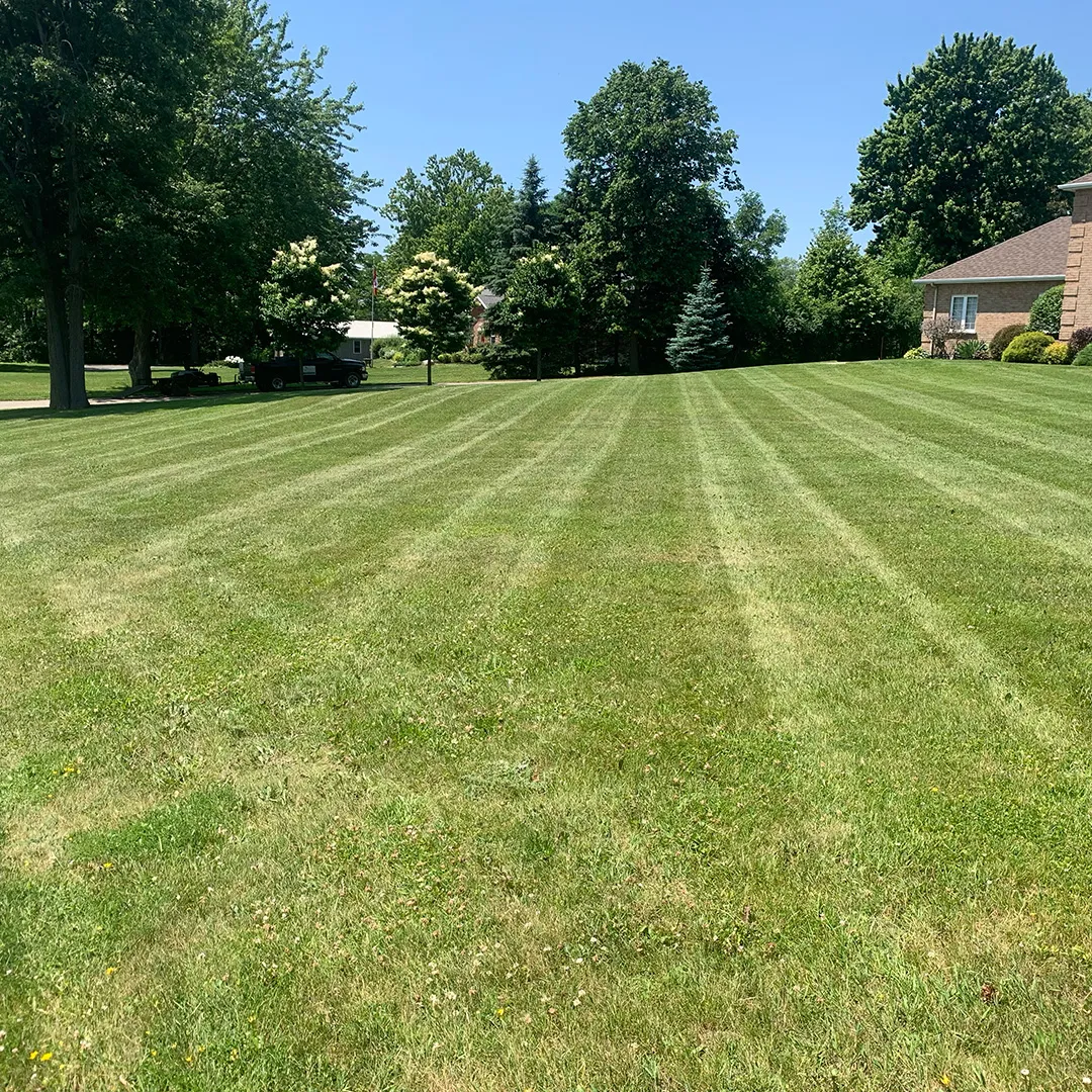 Residential lawn mowing near me Cornwall