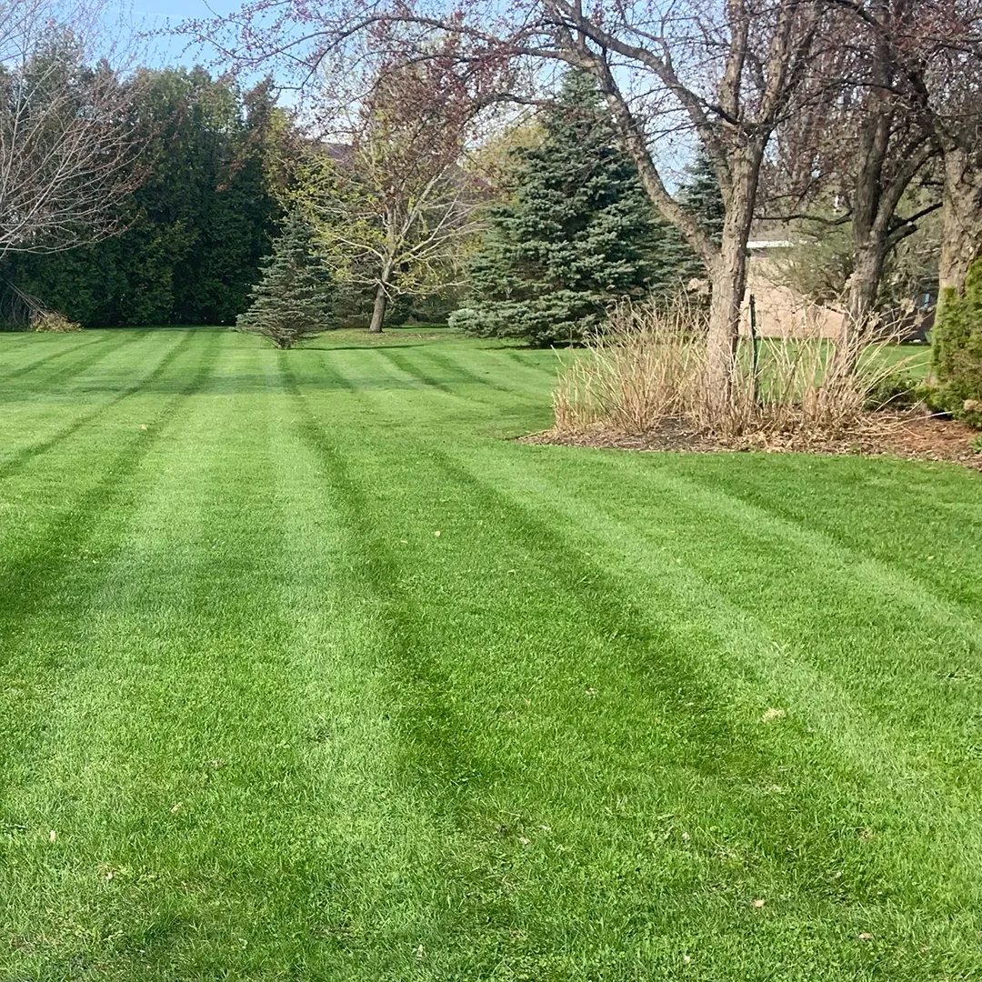 Pet-friendly lawn mowing near me Cornwall