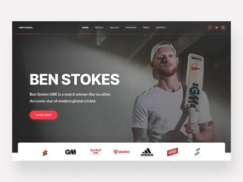 Web Design of celebrity website.