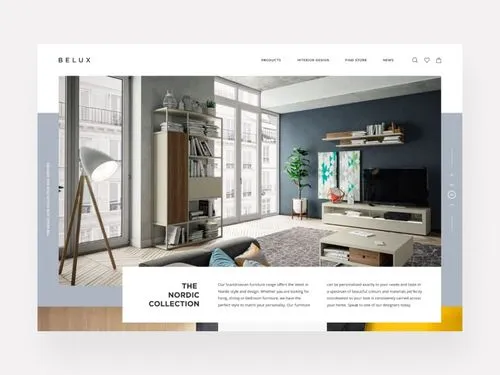 Web Design of online store website.