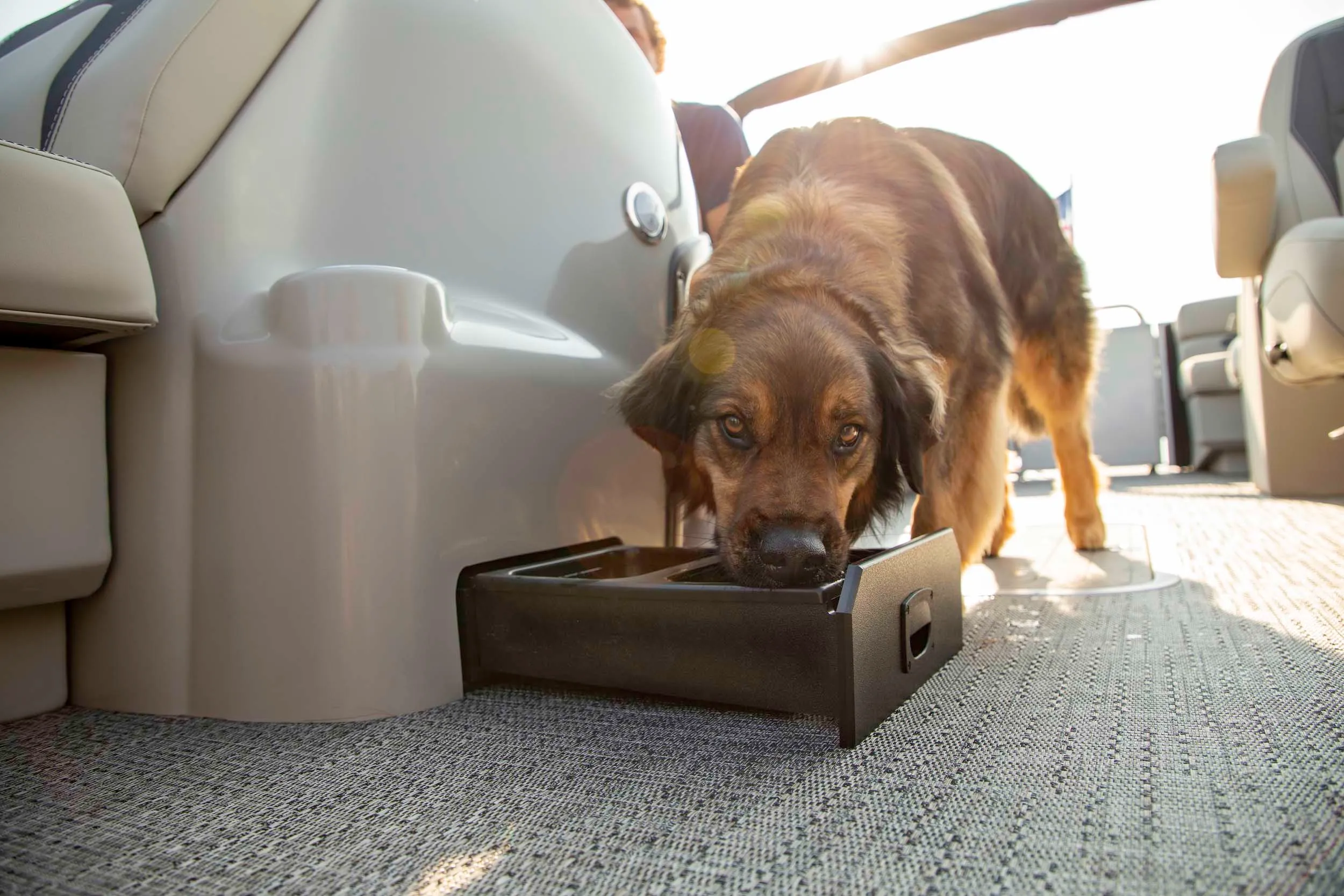 Record your family on iphone while they wakesurf