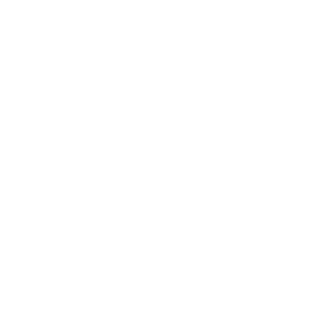 white right arrow icon