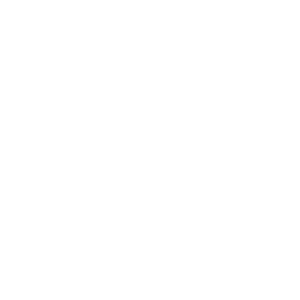 White Instagram Social Icon