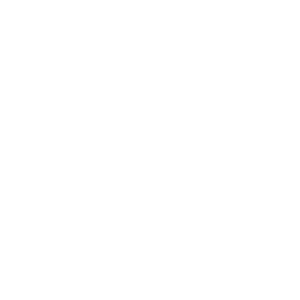 White Behance social icon