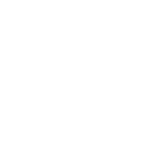 White Linkedin social icon