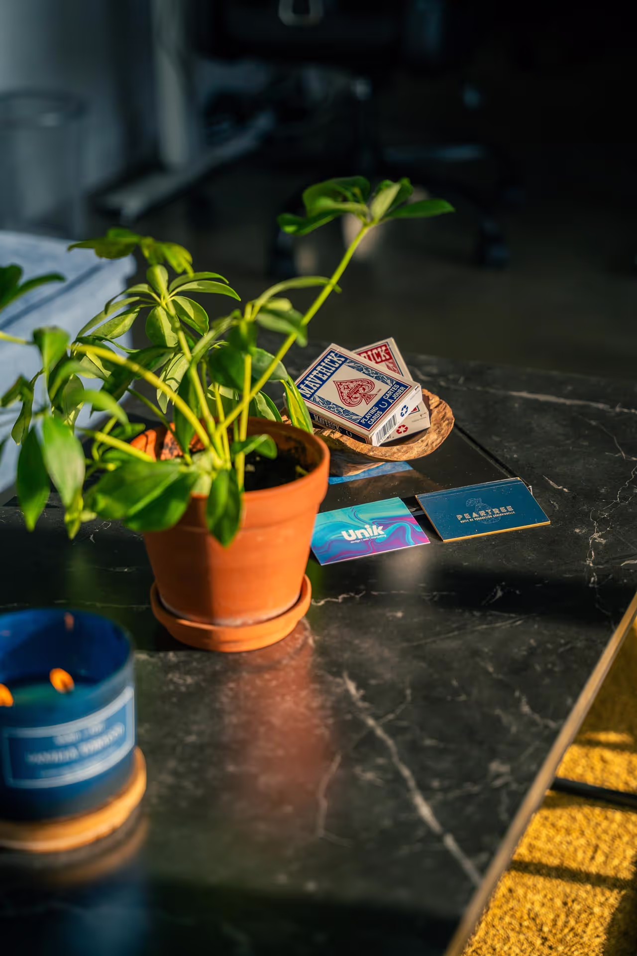 Plantes et décorations dans le salon du Stoud.