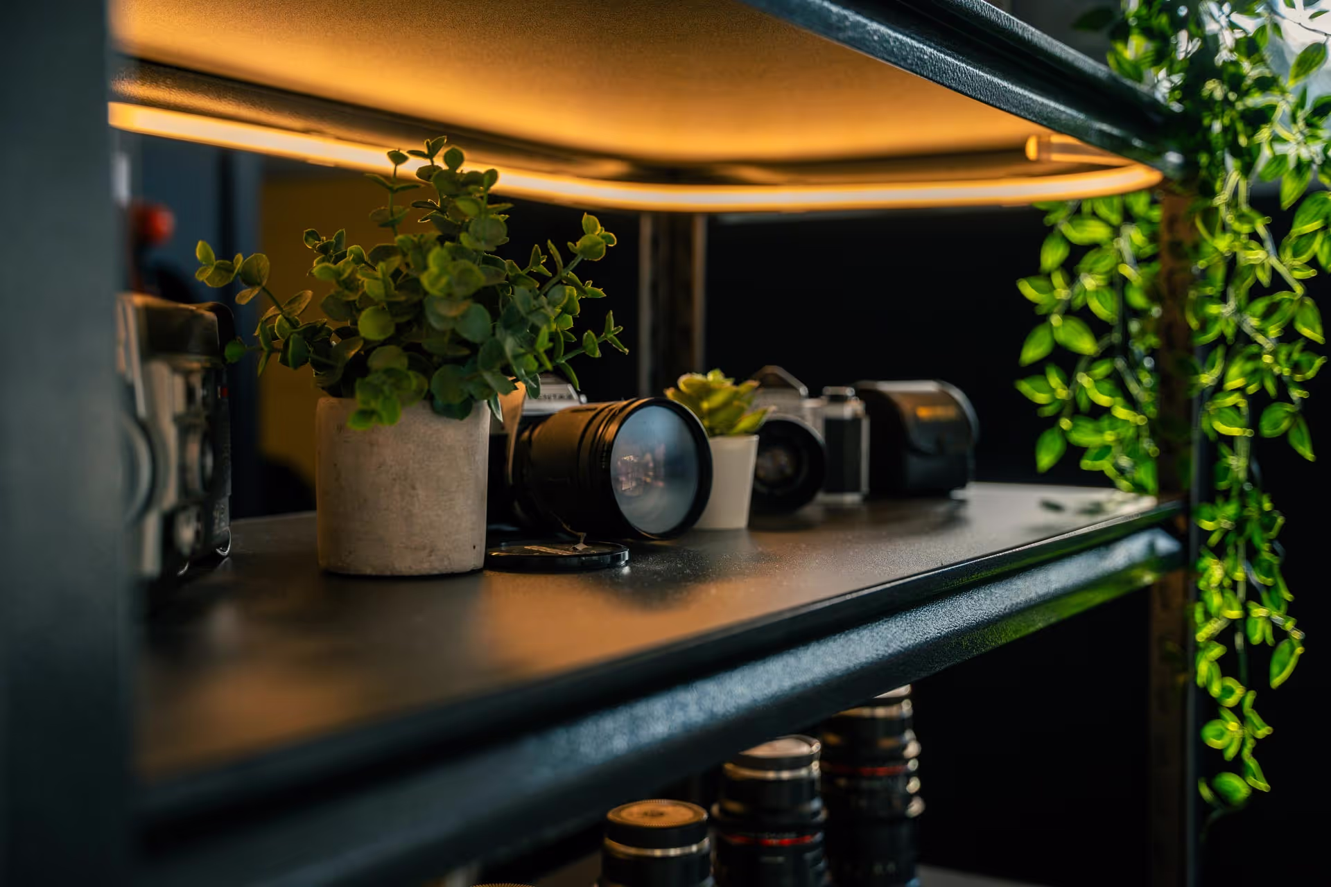 Caméra et décoration au Stoud à Bromont