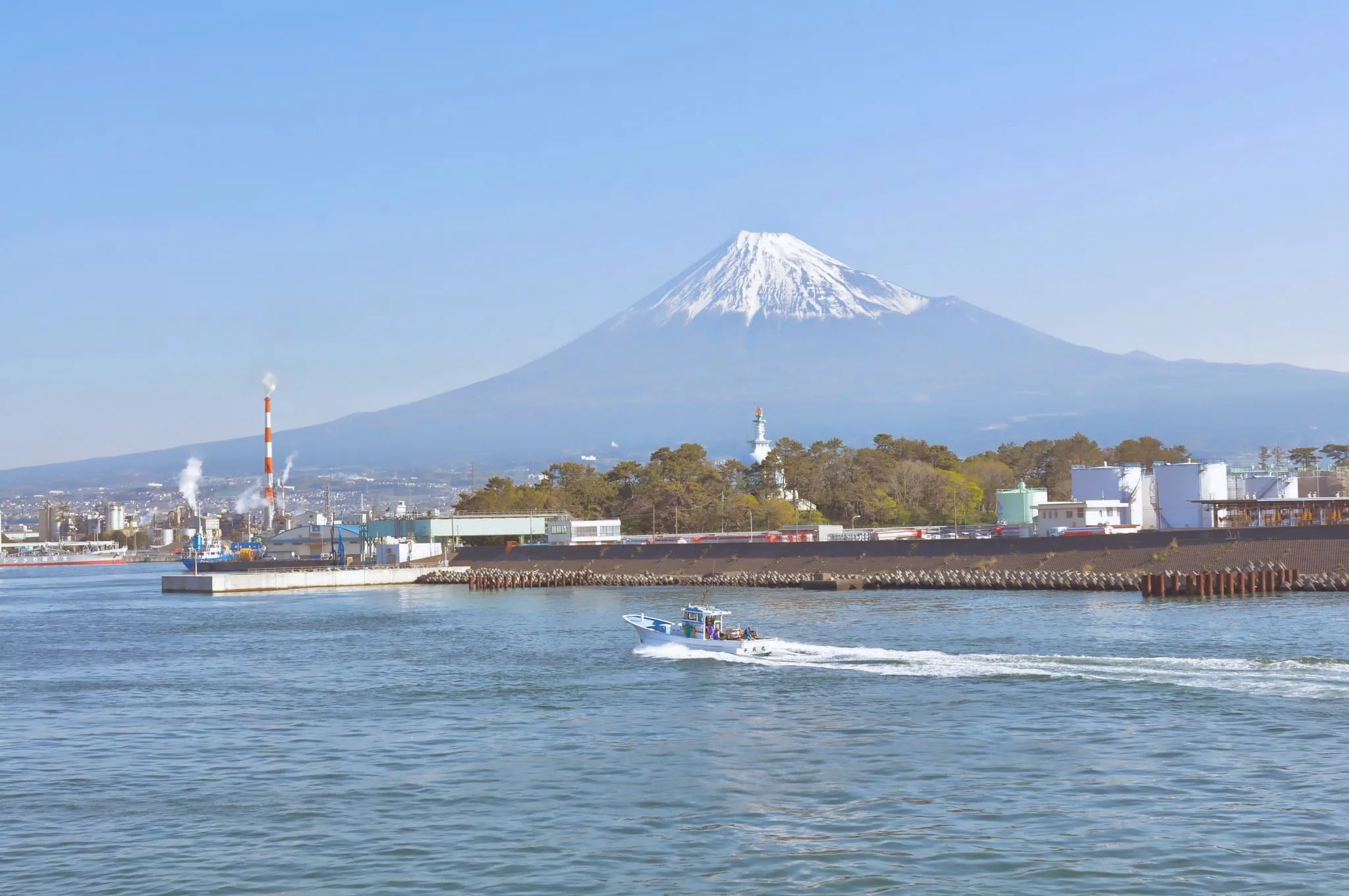 富士山と田子の浦
