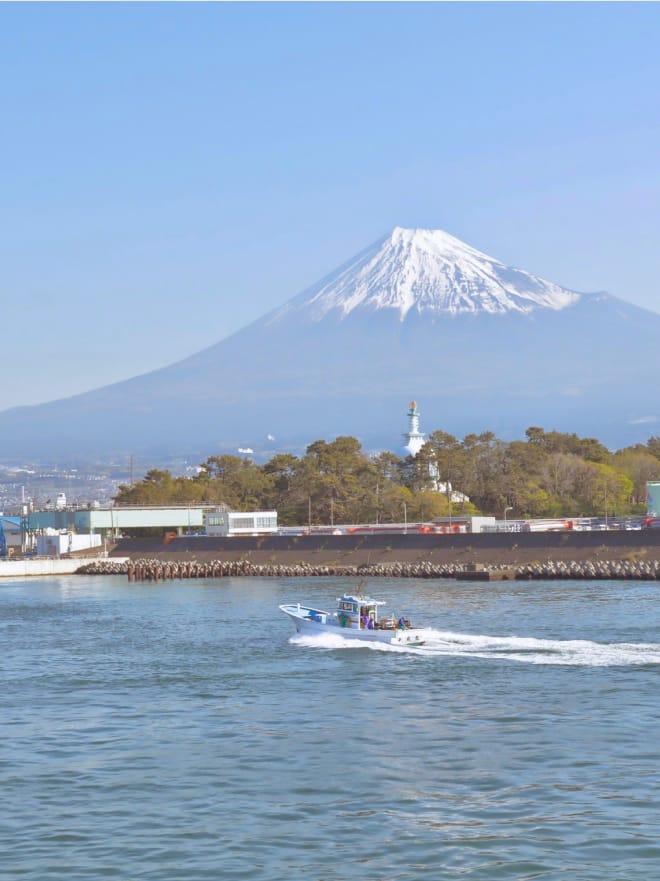 富士山と田子の浦