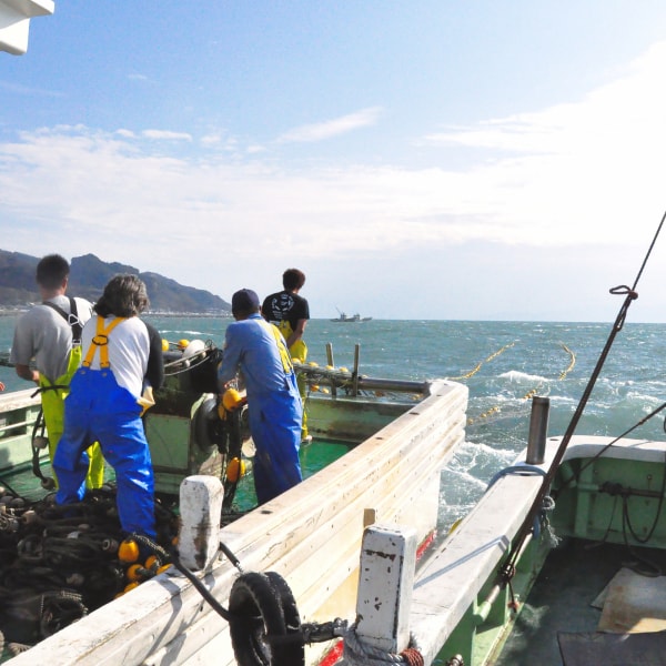 しらす漁の様子