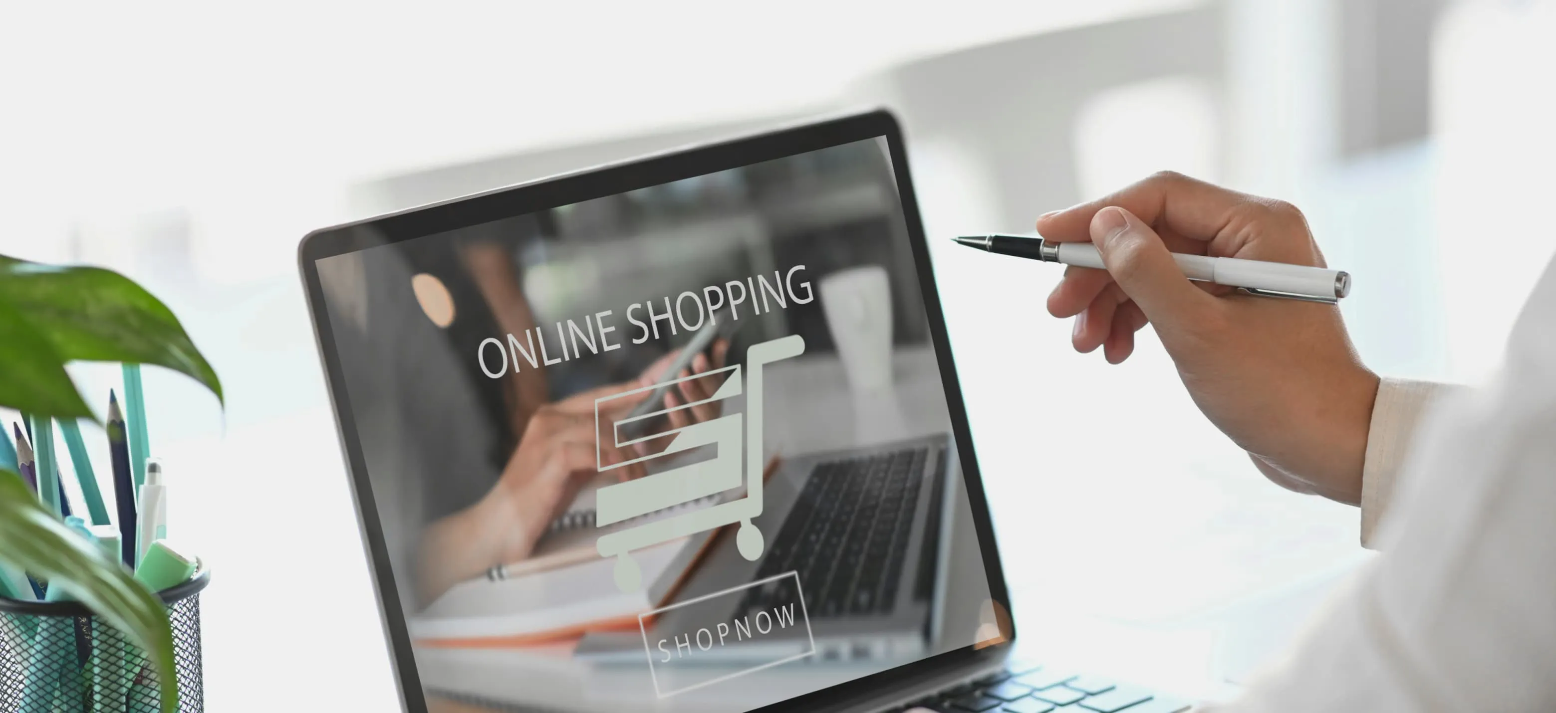 Create an E-commerce Website