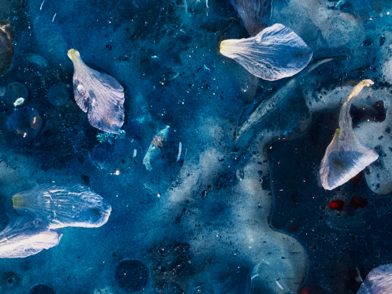 Twin Magazine (Jacob McFadden)