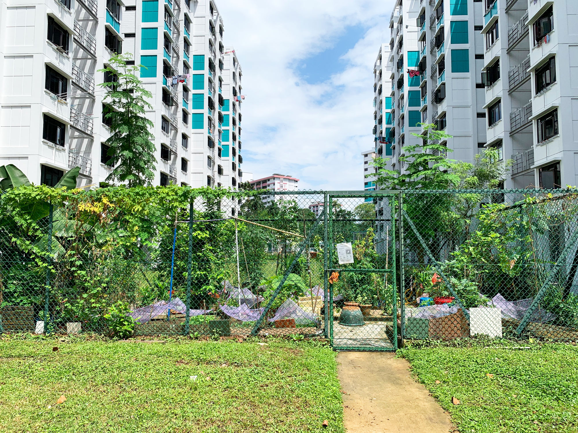 Photo of a Creative installation by Some Club at the public Esplanade Lawn, held during March 2025