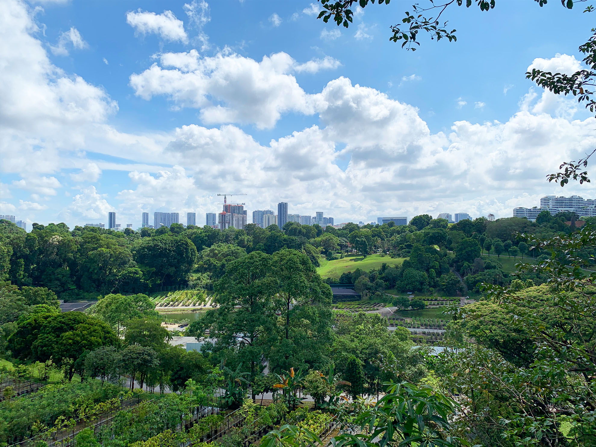 Photo of a Creative installation by Some Club at the public Esplanade Lawn, held during March 2025