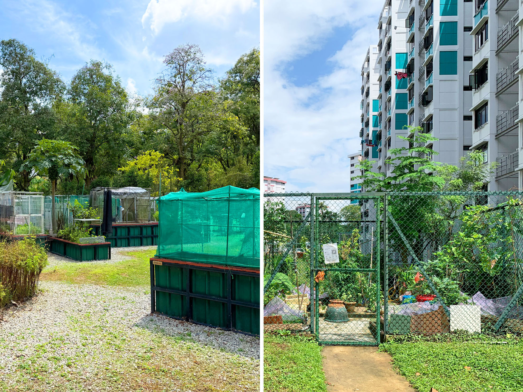 Bishan-Ang Mo Kio Park Case Study
