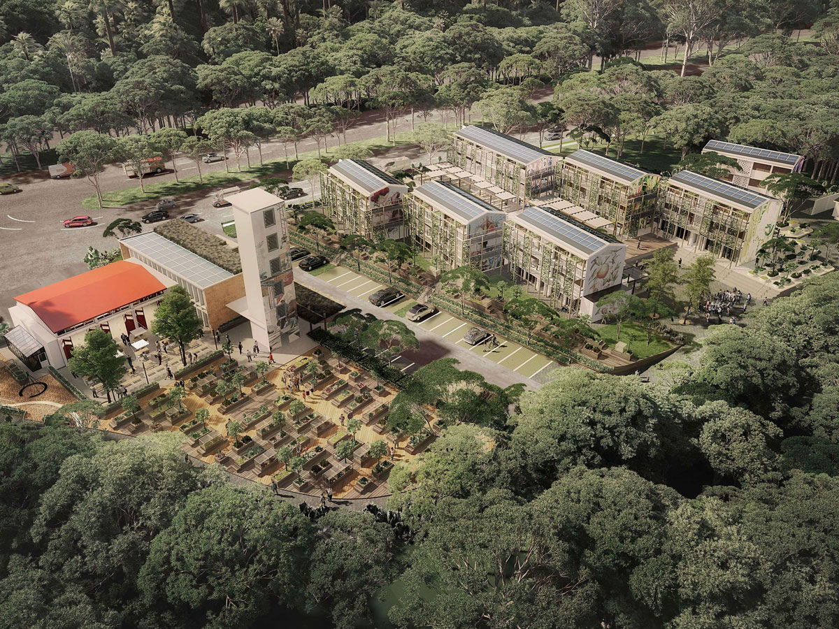 Biophilic Design: Arborescence