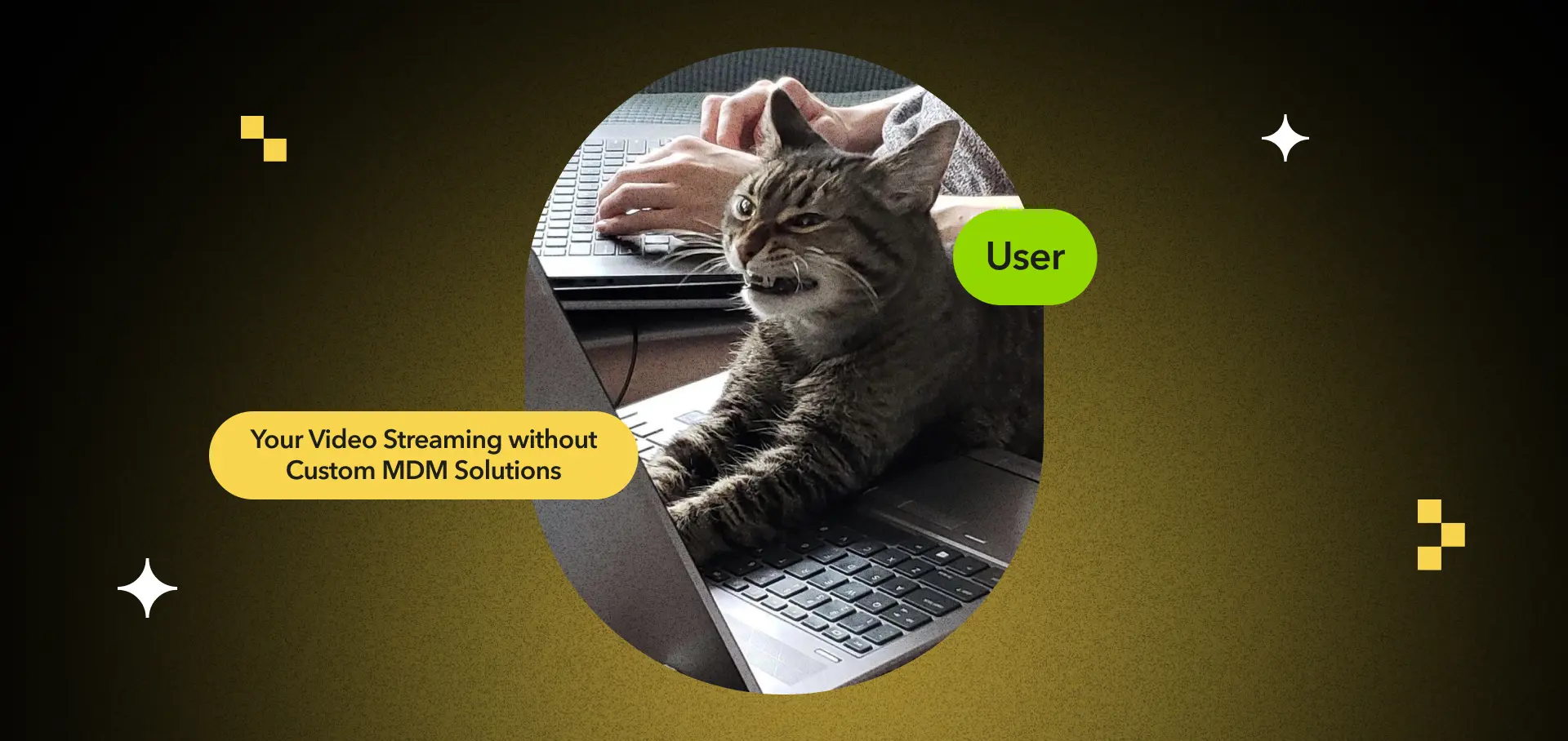 Blog: Custom MDM Solutions With Scalable Video Streaming Dev for Modern Enterprises