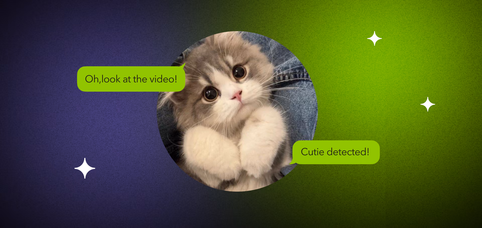 Machine learning object recognition in camera systems for security and autonomous vehicles