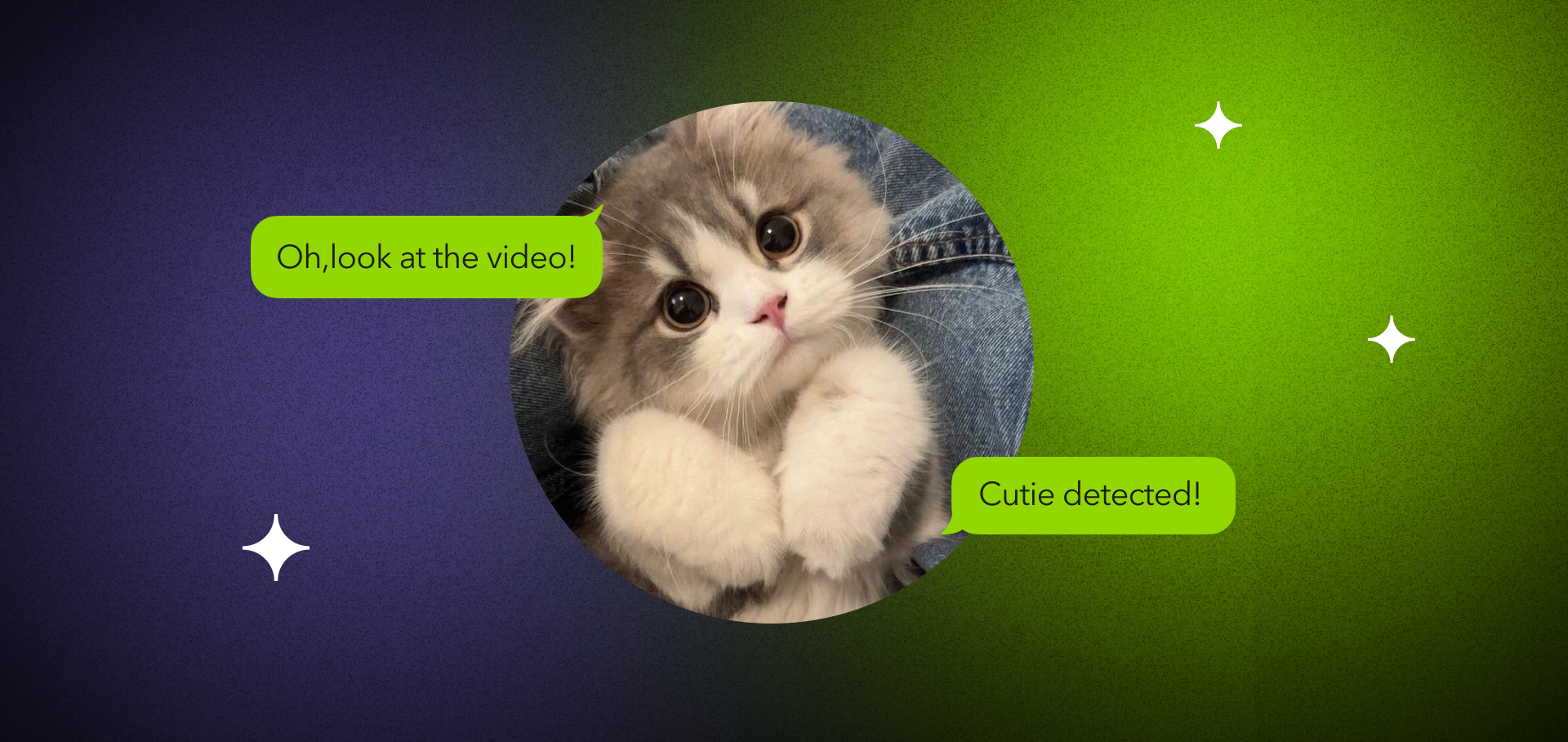 Machine learning object recognition in camera systems for security and autonomous vehicles