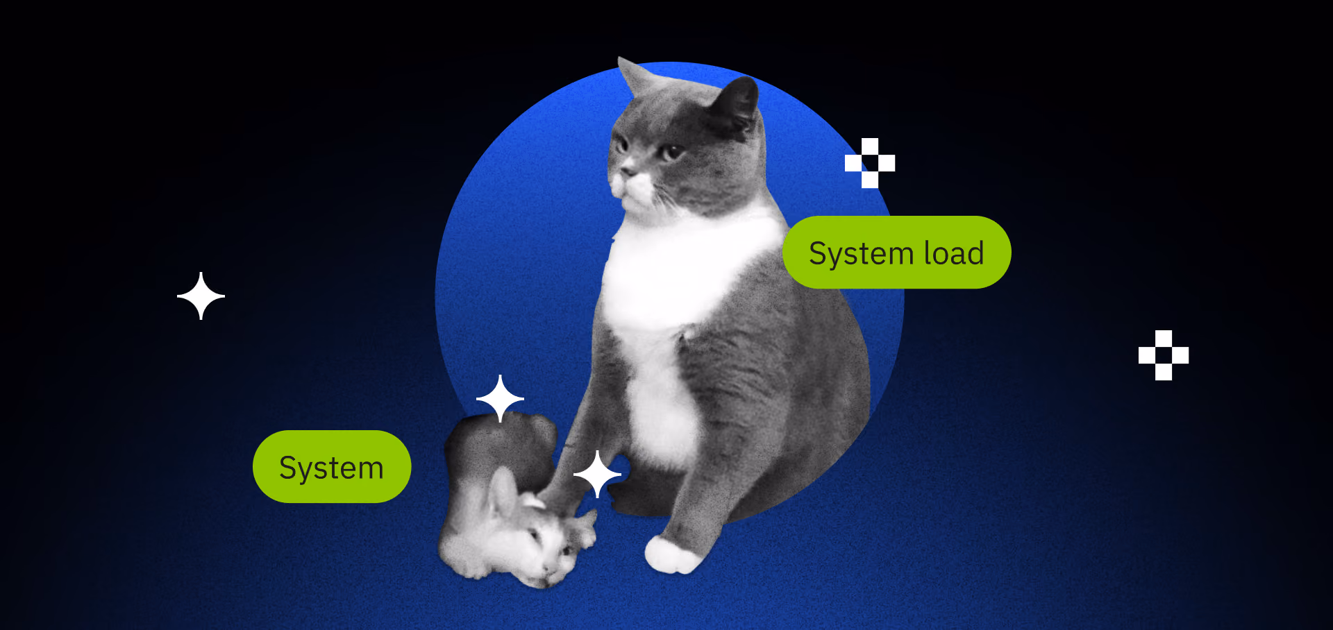 Software scalability planning addressing performance bottlenecks and handling user load increases