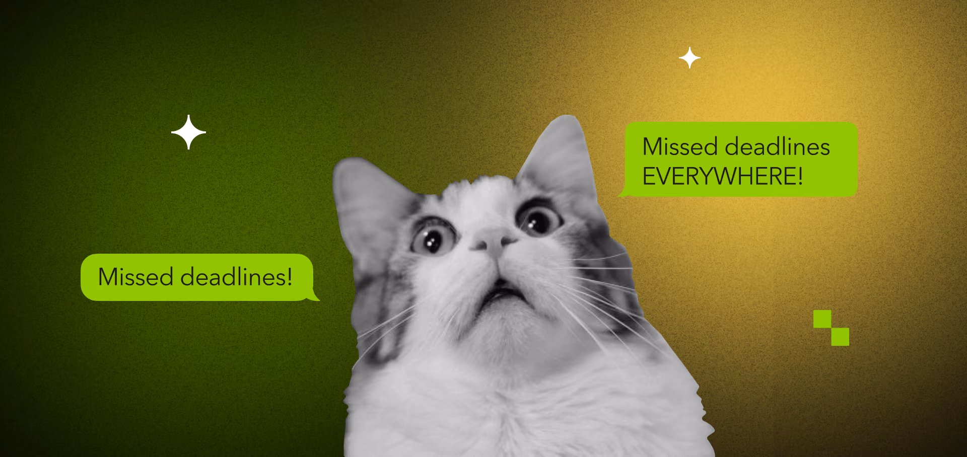Software project deadline management addressing missed milestones and release date delays