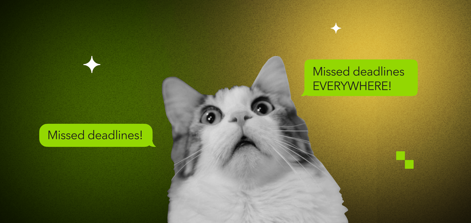 Software project deadline management addressing missed milestones and release date delays