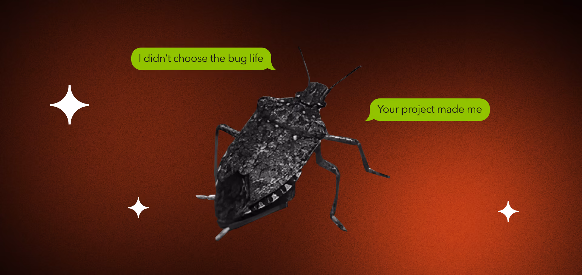 Bug management in software projects reducing delays and ensuring quality product delivery
