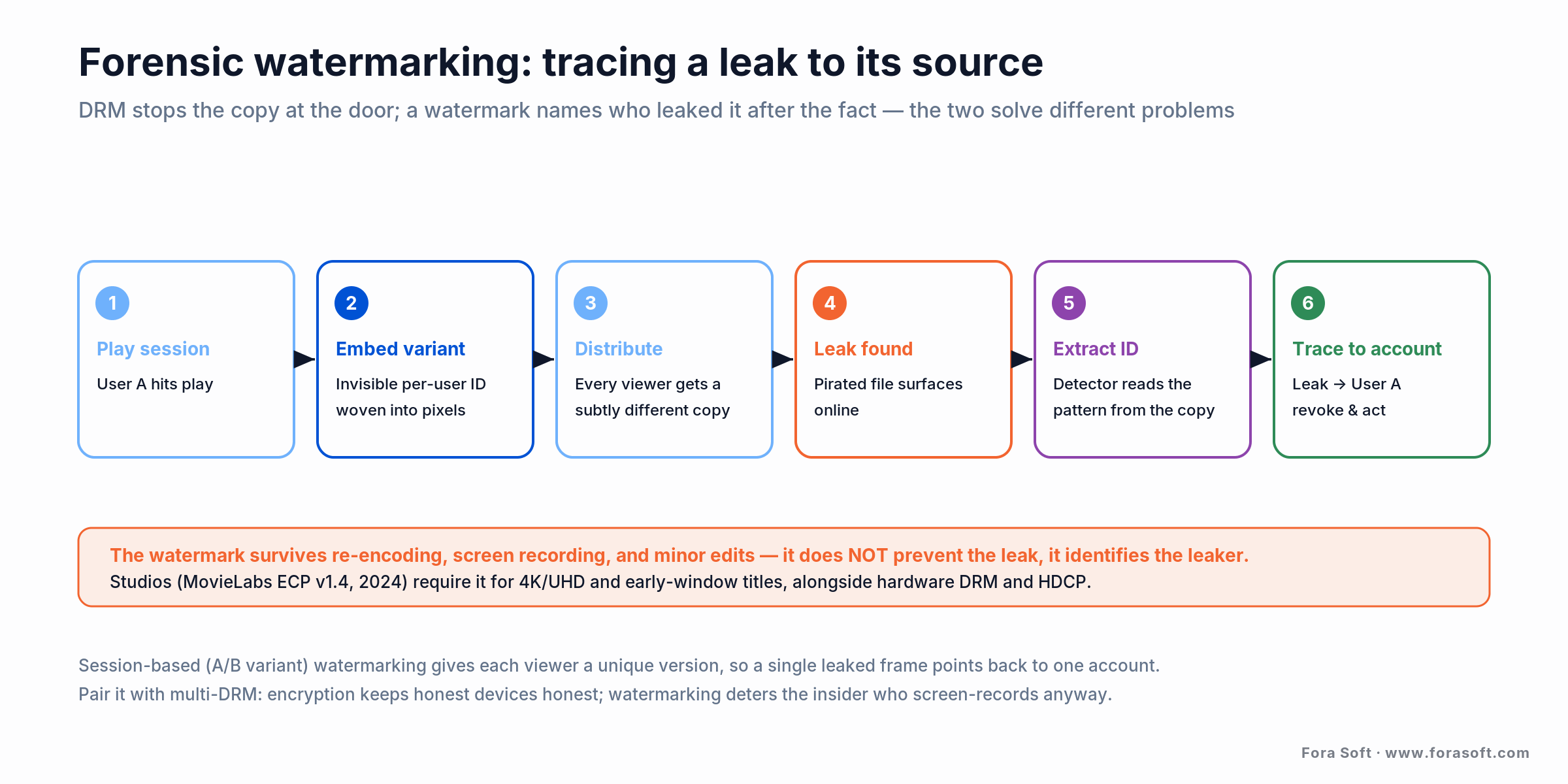 Forensic watermarking pipeline: embed a per-user variant, find the leaked copy, extract the ID, trace it to one account