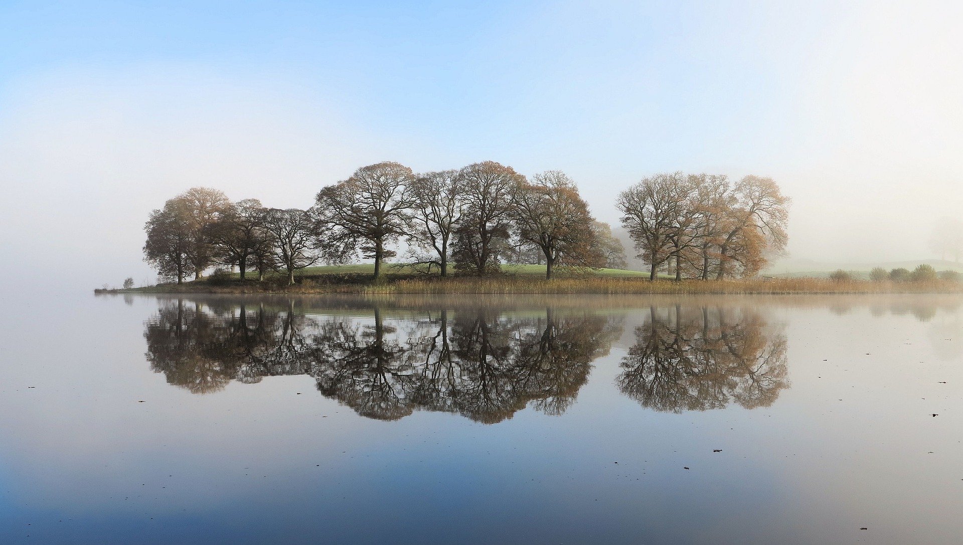 A photo of some trees reflected in a lake
