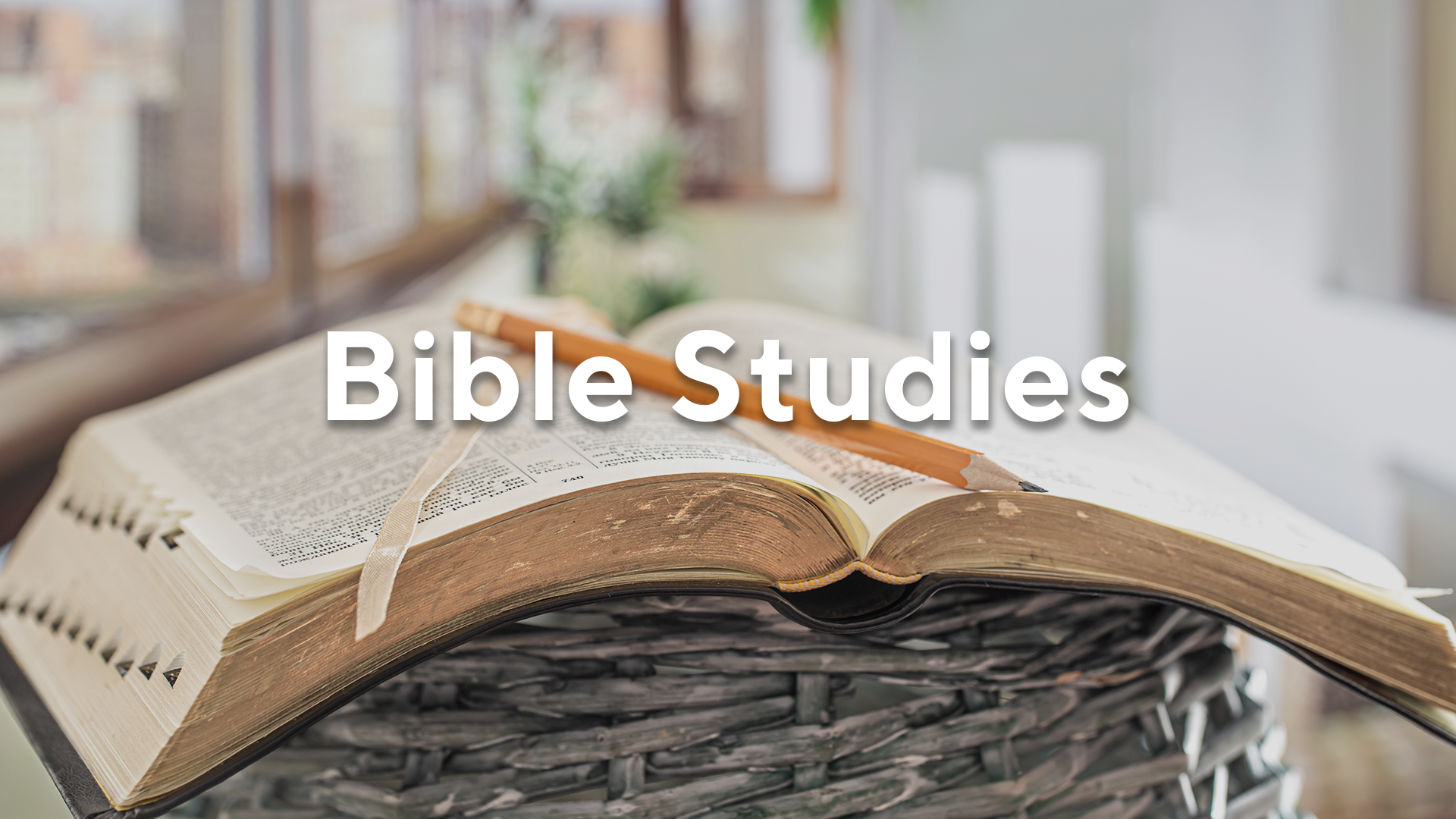 A picture of a Bible with the words Bible Studies overlaid