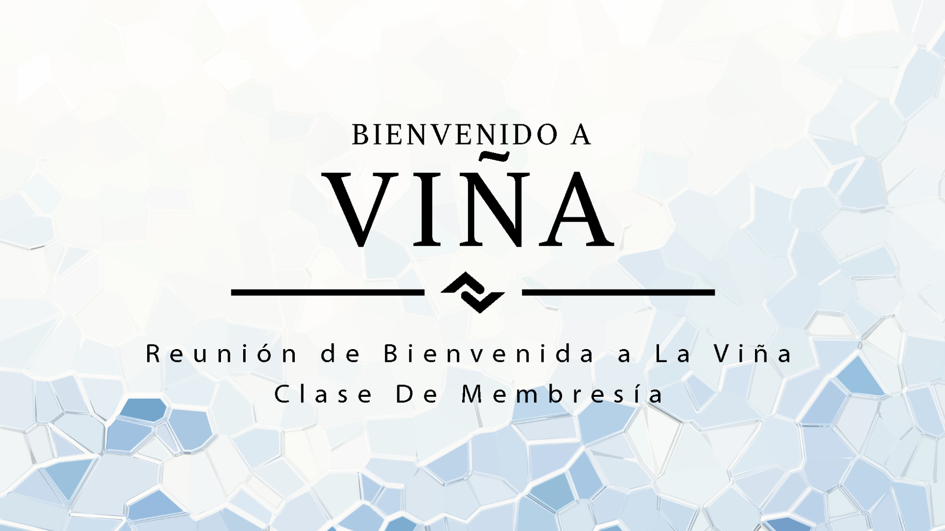 Reunión de Bienvenida a La Viña