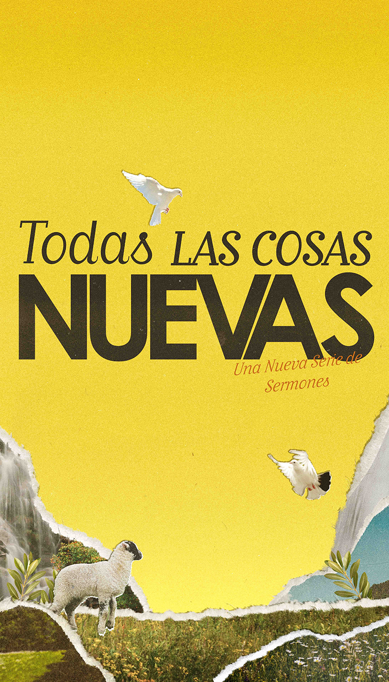 Todas Las Cosas Nuevas