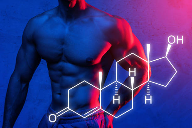What is Testosterone?