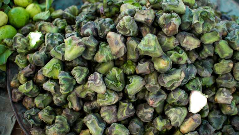 Benefits of Water Chestnut (Shengada) for Thyroid Hormone Production