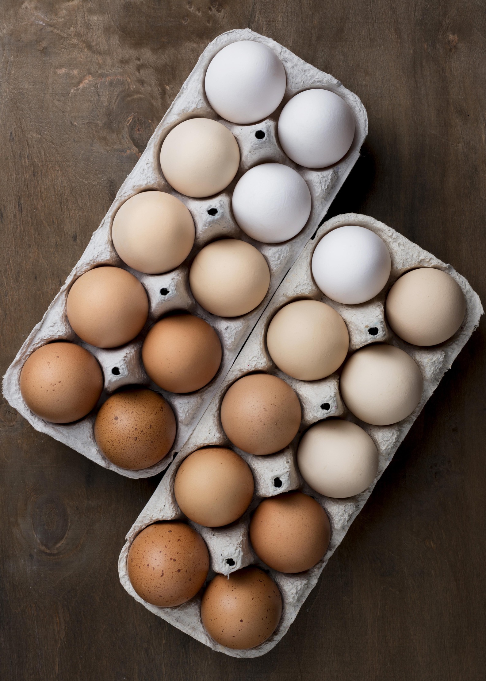 Choosing the Right Kind of Eggs : Conventional vs Cage-free vs Free-range