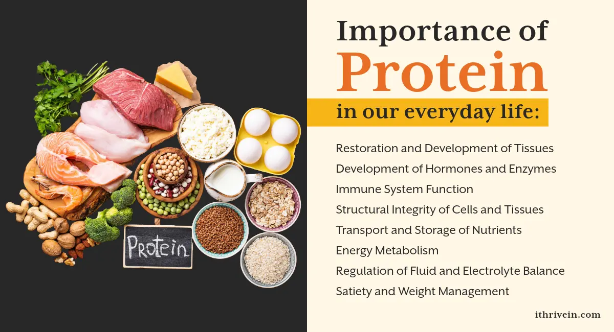 Importance of Protein