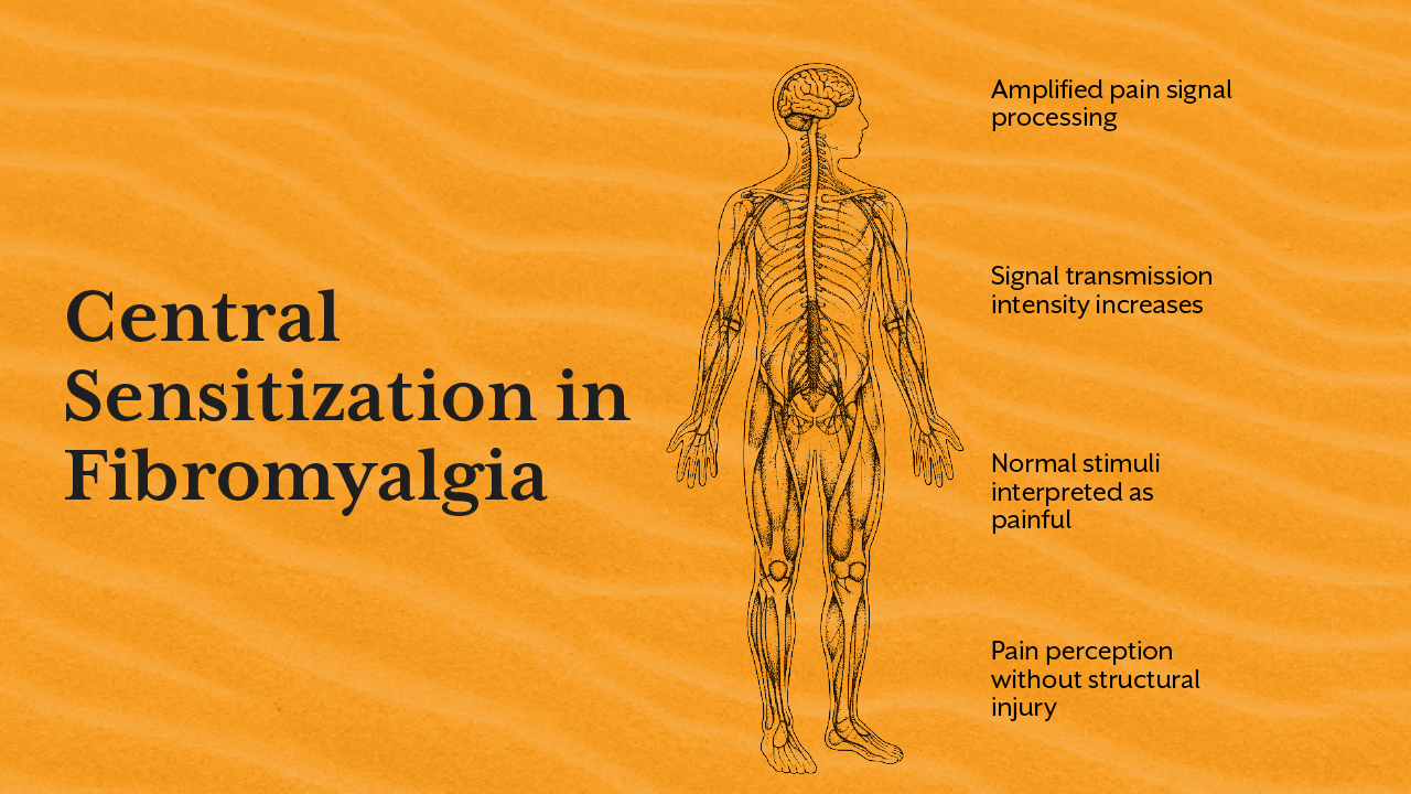 Central Sensitization in Fibromyalgia
