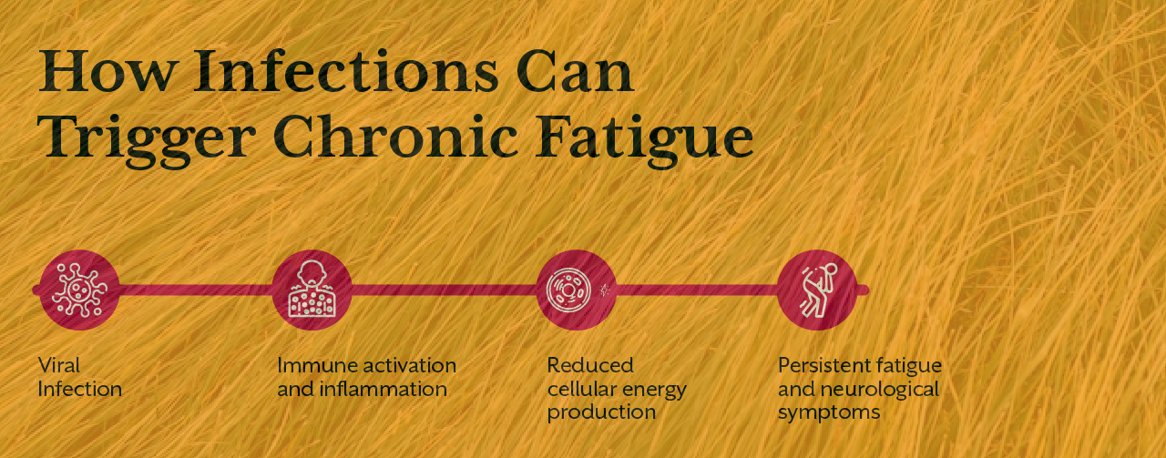  How Infections Can Trigger Chronic Fatigue