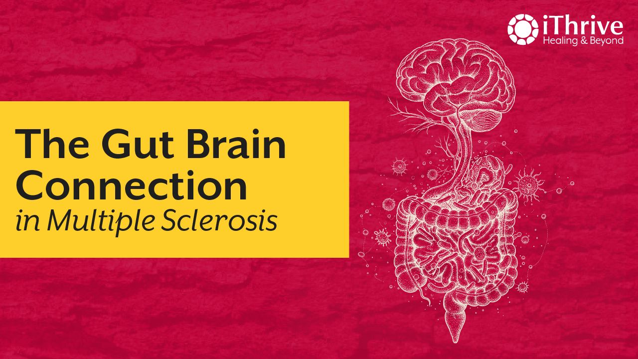 Multiple Sclerosis Starts in the Gut? The Gut Brain Link Explained