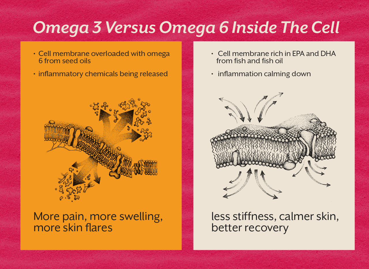Omega 3 Versus Omega 6 Inside The Cell