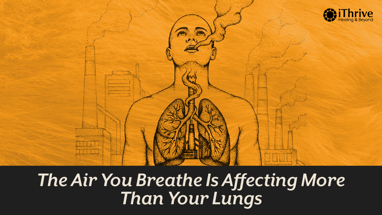 5 Steps to Survive | When The Air You Breathe Is Killing You