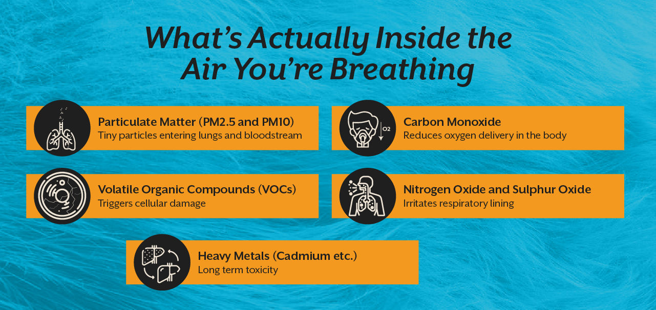 What’s Actually Inside the Air You’re Breathing