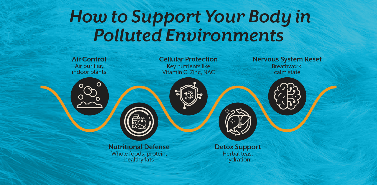 How to Support Your Body in Polluted Environments