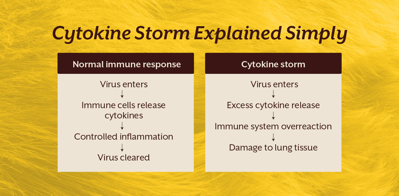 Cytokine Storm Explained Simply