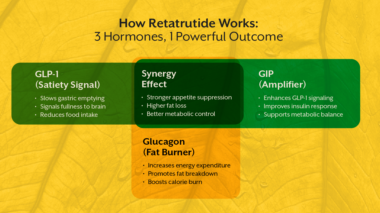 How Retatrutide Works: 3 Hormones, 1 Powerful Outcome