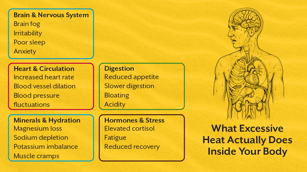 What Excessive Heat Actually Does Inside Your Body