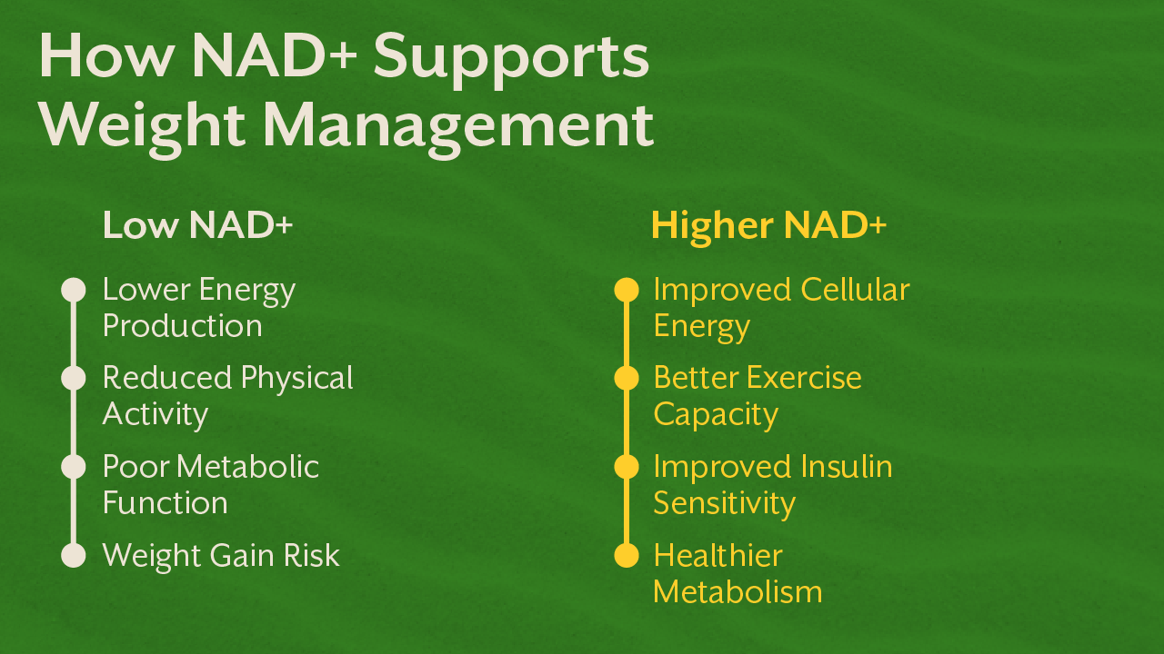 How NAD+ Supports Weight Management
